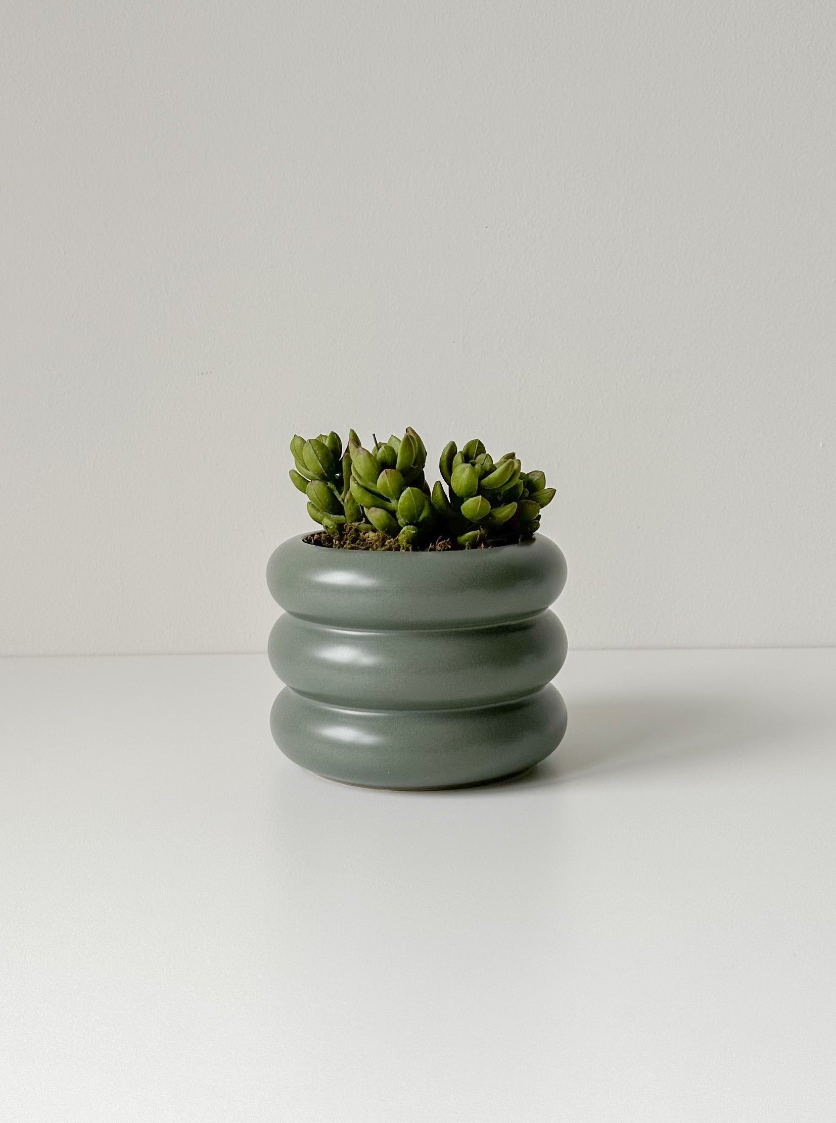 Dark Green Fluted Planter (Bundle)