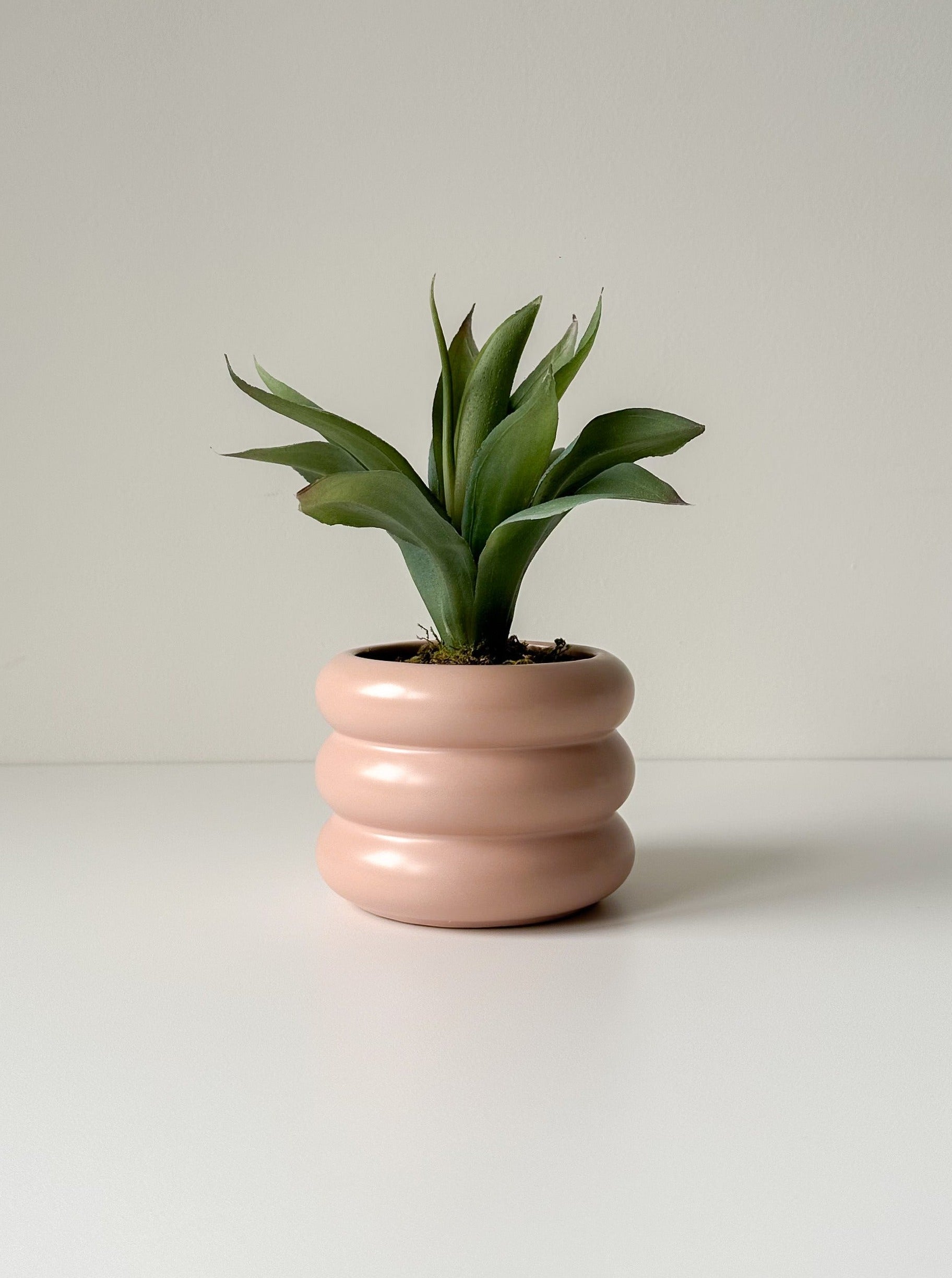 Light Pink Fluted Planter (Bundle)